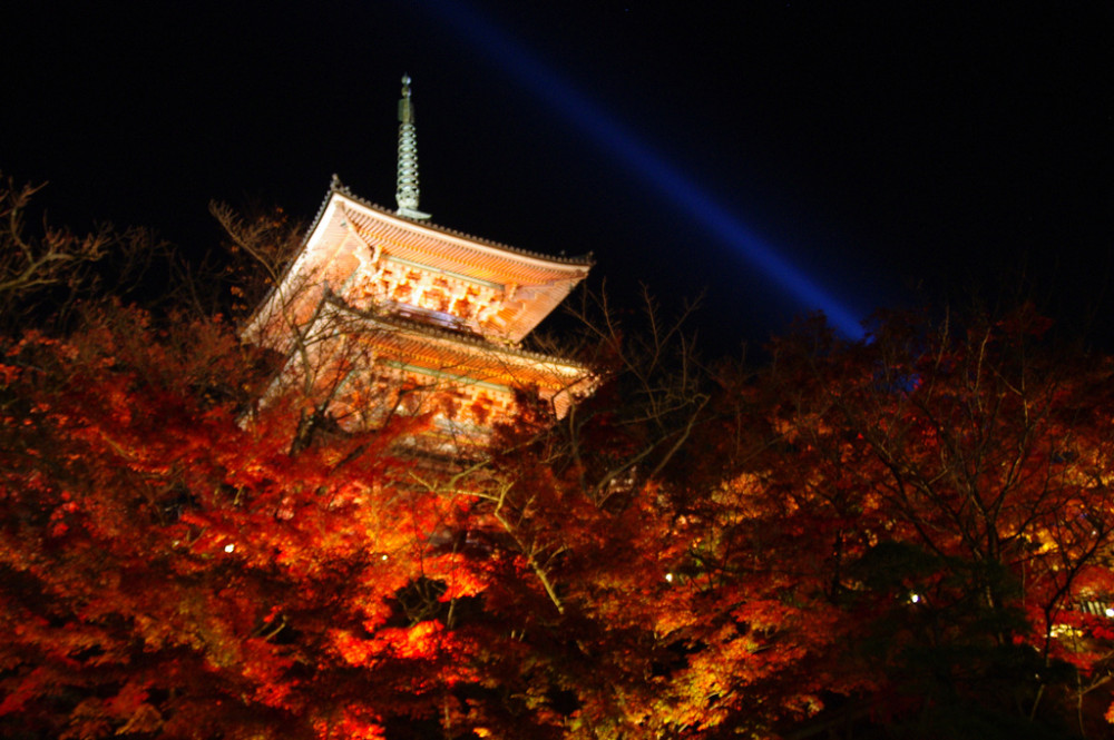 紅葉ライトアップ